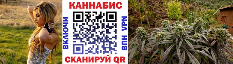Шишки марихуана гибрид  где найти   Сосногорск 
